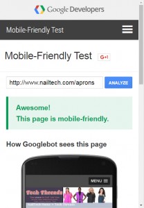 Our Template PASSES Googles Mobile-Friendly test!